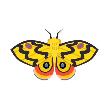 Isolated object of butterfly and elegant symbol. Collection of butterfly and vivid vector icon for stock.のイラスト素材