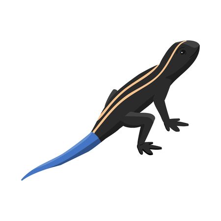 Vector illustration of lizard and tail icon. Set of lizard and iguana stock symbol for web.のイラスト素材