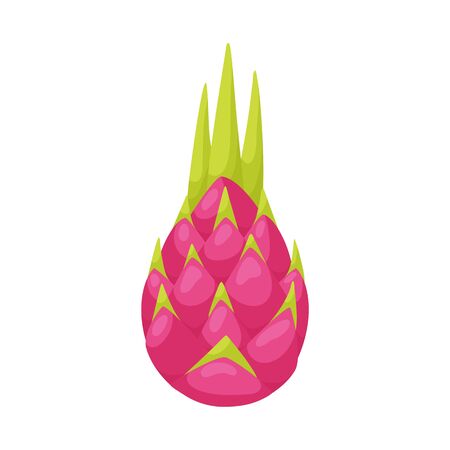 Isolated object of flower and lotus sign. Collection of flower and water stock symbol for web.のイラスト素材