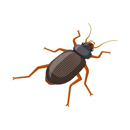 Vector illustration of beetle and garden icon. Set of beetle and bug vector icon for stock.のイラスト素材