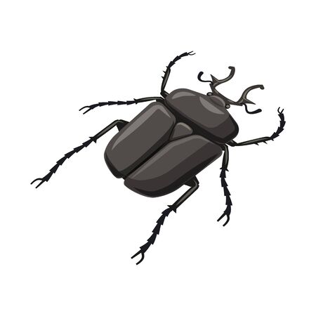 Vector design of beetle and bug icon. Collection of beetle and summer stock symbol for web.のイラスト素材