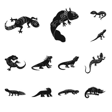 Vector design of zoo and environment icon. Set of zoo and reptile vector icon for stock.のイラスト素材