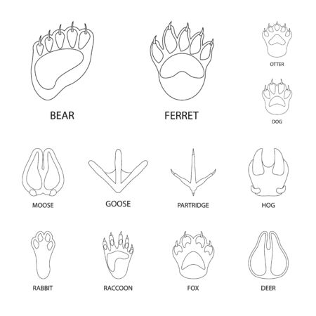 Isolated object of foot and footprint sign. Collection of foot and trace vector icon for stock.のイラスト素材