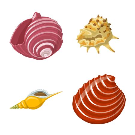 Vector design of seashell and mollusk symbol. Set of seashell and seafood vector icon for stock.のイラスト素材