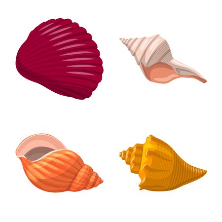 Isolated object of seashell and mollusk sign. Collection of seashell and seafood stock vector illustration.のイラスト素材