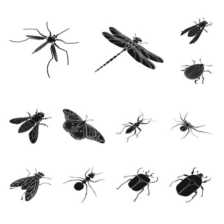 Vector design of wings and wing symbol. Collection of wings and fly vector icon for stock.のイラスト素材