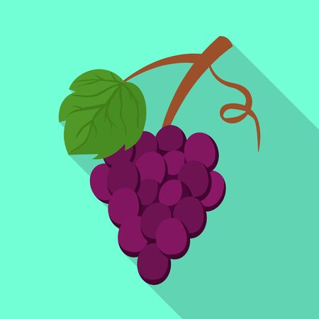 Isolated object of grape and bunch logo. Collection of grape and fruit bitmap icon for stock.の写真素材