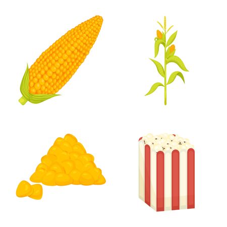Vector illustration of maize and food sign. Collection of maize and crop stock vector illustration.のイラスト素材