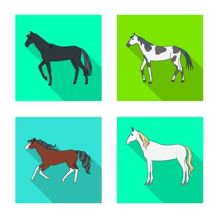 Isolated object of breed and equestrian logoCollection of breed and mare stock vector illustration.のイラスト素材