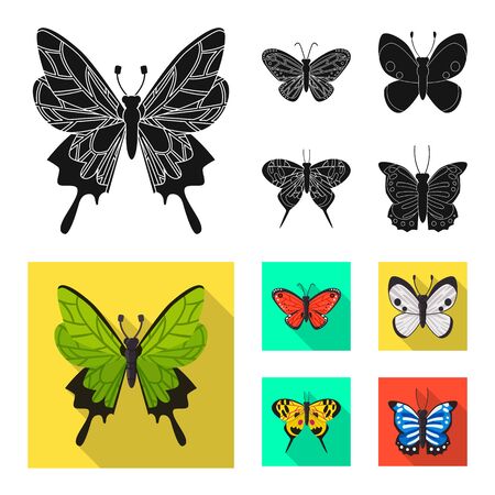 Isolated object of exotic and botanic symbol. Collection of exotic and tropics vector icon for stock.のイラスト素材