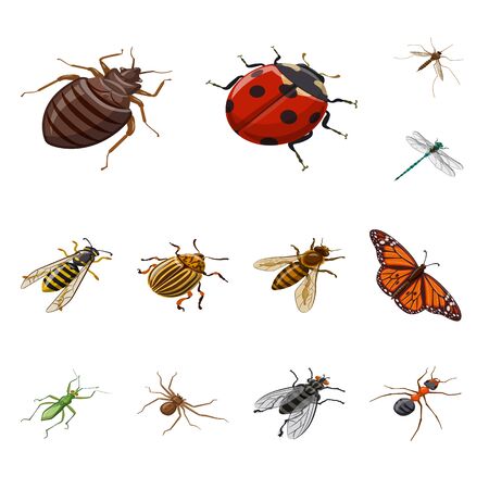 Vector illustration of insect and fly icon. Set of insect and entomology stock vector illustration.のイラスト素材