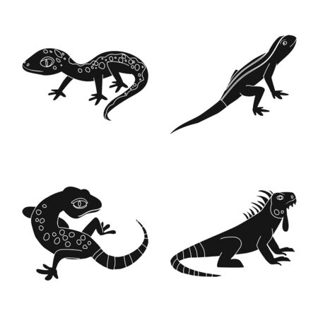 Vector design of zoo and environment sign. Collection of zoo and reptile stock vector illustration.のイラスト素材