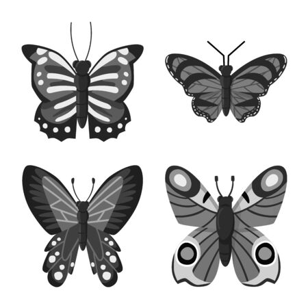 Vector illustration of fly and insect symbol. Collection of fly and botanic vector icon for stock.のイラスト素材