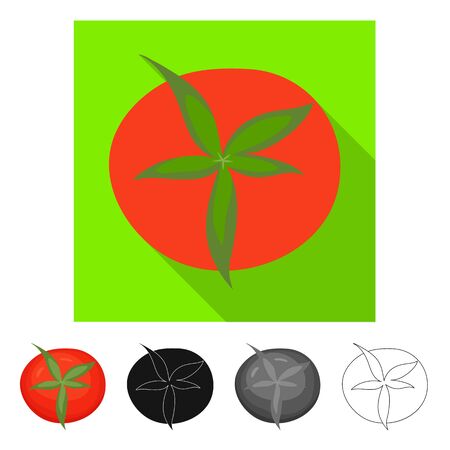 Vector design of tomato and red sign. Set of tomato and natural stock symbol for web.のイラスト素材