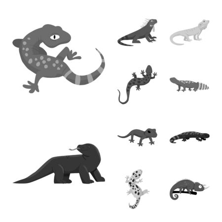 Isolated object of wild and exotic sign. Collection of wild and fauna stock symbol for web.のイラスト素材