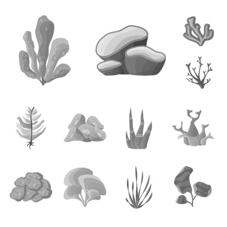 Vector illustration of botanical and flora icon. Collection of botanical and nature vector icon for stock.のイラスト素材