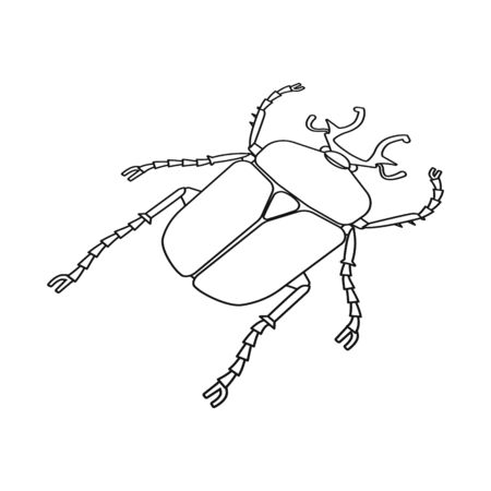 Vector illustration of beetle and bug sign. Collection of beetle and summer vector icon for stock.のイラスト素材