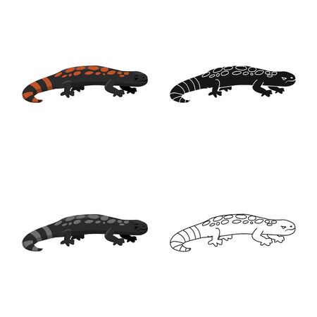 Vector design of lizard and gila sign. Set of lizard and colored stock symbol for web.のイラスト素材