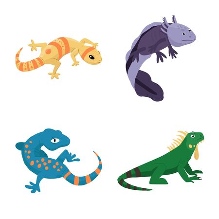 Vector design of animal and reptile icon. Collection of animal and nature stock symbol for web.のイラスト素材