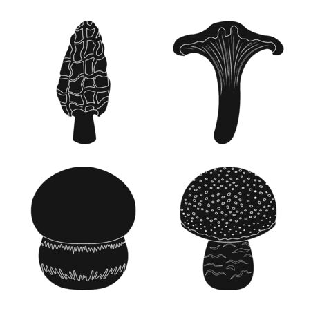 Vector design of variety and ingredient icon. Collection of variety and food stock vector illustration.のイラスト素材