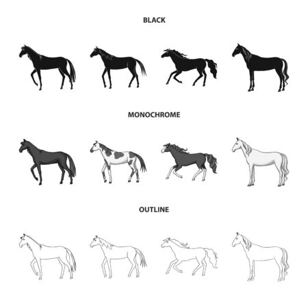 Isolated object of breed and equestrian symbol. Collection of breed and mare stock symbol for web.のイラスト素材