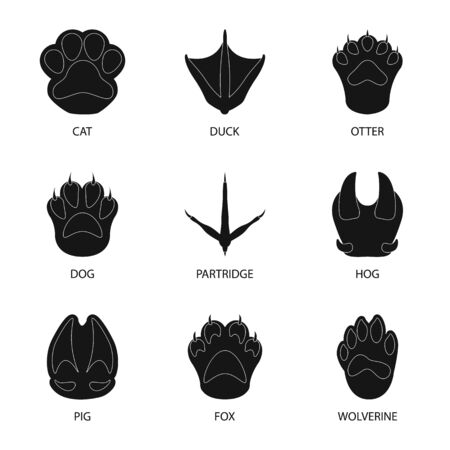 Vector design of feet and fauna sign. Set of feet and print stock vector illustration.のイラスト素材