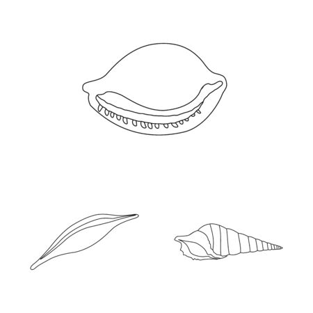 Vector illustration of exotic and seafood icon. Collection of exotic and aquatic stock vector illustration.のイラスト素材