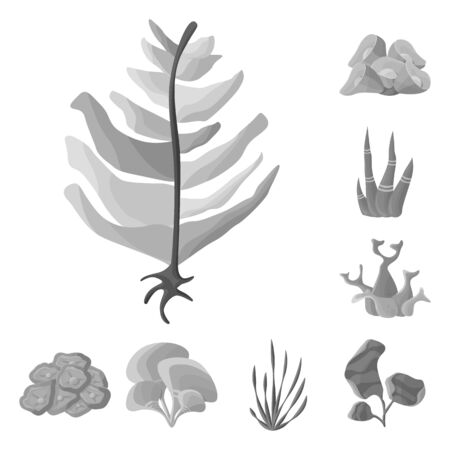 Vector design of botanical and flora sign. Set of botanical and nature vector icon for stock.のイラスト素材
