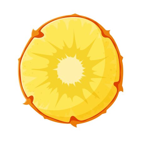Isolated object of slice and ananas symbol. Graphic of slice and vitamin stock symbol for web.のイラスト素材