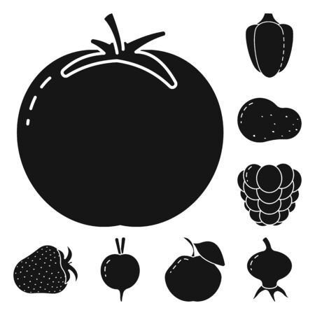 Vector design of vegetarian and organic sign. Collection of vegetarian and food stock symbol for web.のイラスト素材