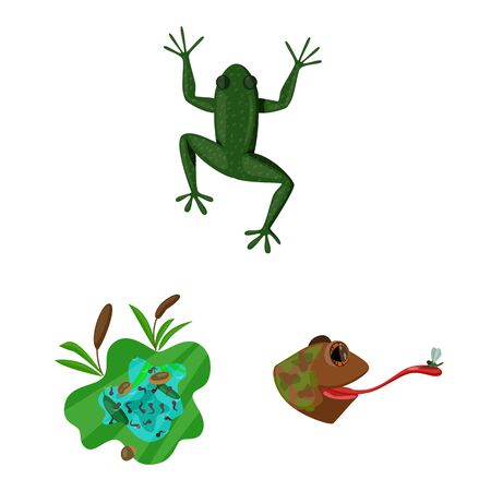 Isolated object of frog and anuran symbol. Set of frog and animal stock symbol for web.のイラスト素材