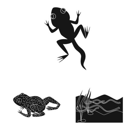 Isolated object of fauna and reptile sign. Collection of fauna and anuran stock vector illustration.のイラスト素材
