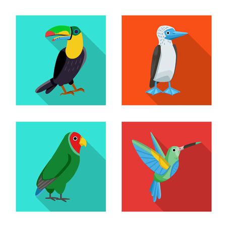 Vector design of animal and wild symbol. Collection of animal and natural stock vector illustration.のイラスト素材