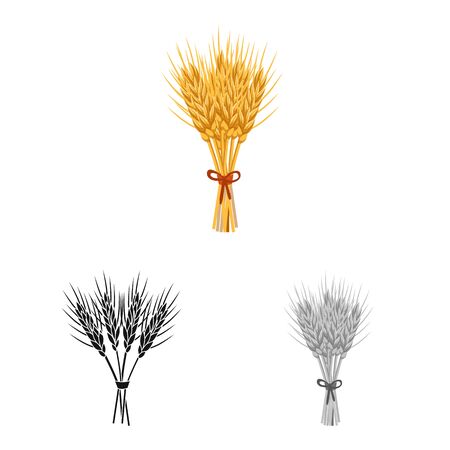 Vector design of barley and sheaf icon. Collection of barley and malt vector icon for stock.のイラスト素材