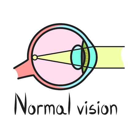 Isolated object of eyeball and organ icon. Graphic of eyeball and eyesight stock symbol for web.のイラスト素材