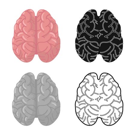 Isolated object of cerebrum and hemisphere sign. Graphic of cerebrum and gyri vector icon for stock.のイラスト素材