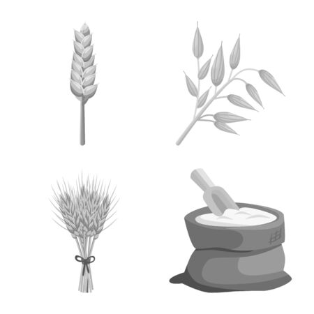 Vector design of grain and harvest logo. Set of grain and farm stock symbol for web.のイラスト素材