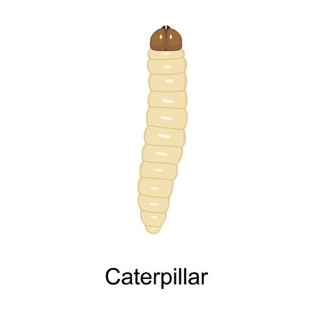 Caterpillar vector icon.Cartoon vector icon isolated on white background caterpillar.のイラスト素材