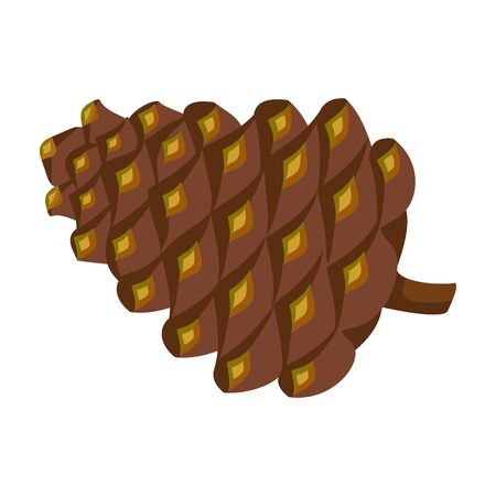 Pineof cone vector icon.Cartoon vector icon isolated on white background pine of cone.のイラスト素材
