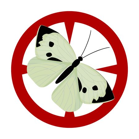 Butterfly vector icon.Cartoon vector icon isolated on white background butterfly .のイラスト素材