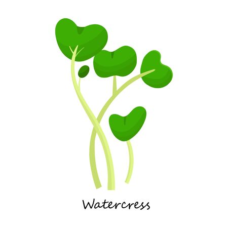 Watercrtss vector icon.Cartoon vector icon isolated on white background watercrtss .のイラスト素材