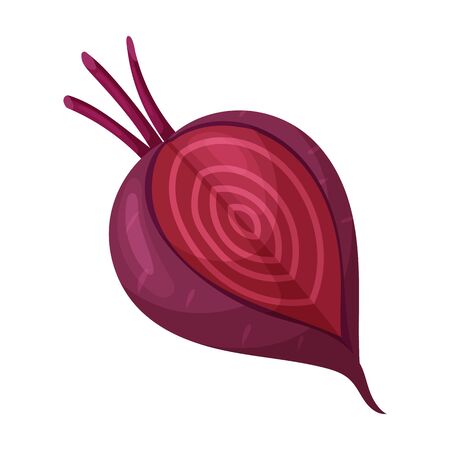 Beetroot vector icon.Cartoon vector icon isolated on white background beetroot .のイラスト素材