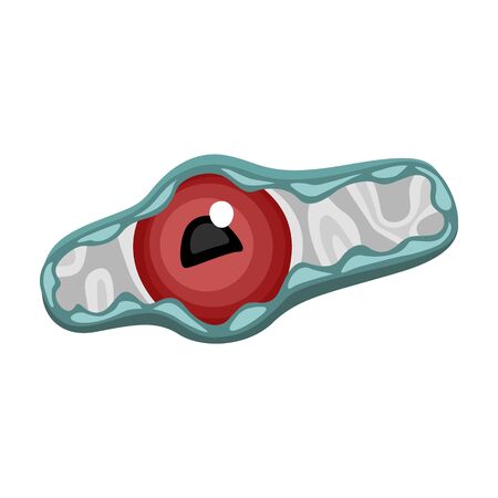 Bacteria of virus vector icon.Cartoon vector icon isolated on white background bacteria of virus .のイラスト素材