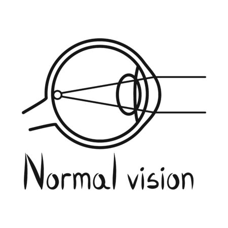 Vector illustration of eyeball and organ sign. Web element of eyeball and eyesight stock symbol for web.のイラスト素材