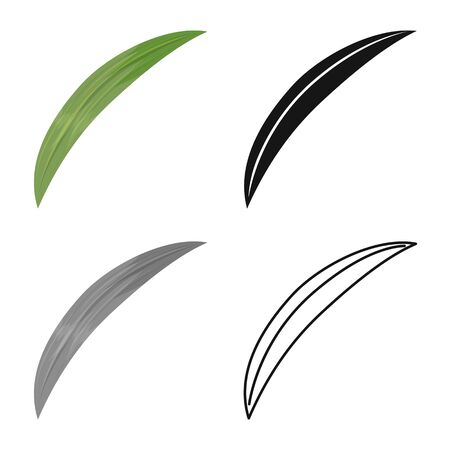 Isolated object of leaf and palm sign. Graphic of leaf and cane stock symbol for web.のイラスト素材