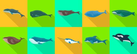Sea whale vector flat set icon.Vector illustration marine animal of whale.Isolated flat icon of sea animal on white background.のイラスト素材