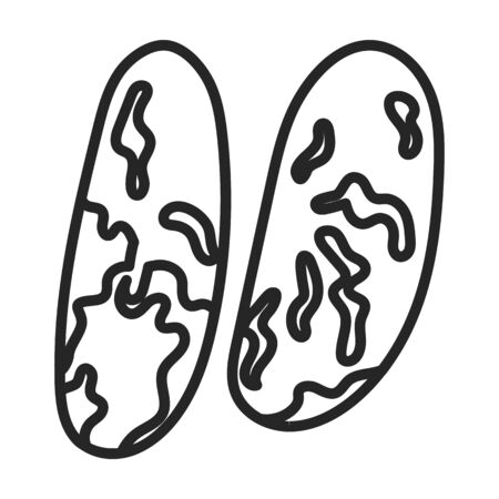 Bean vector icon.Outline vector icon isolated on white background bean.のイラスト素材