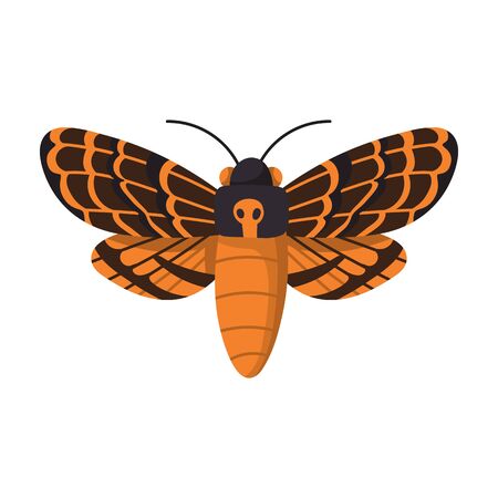 Butterfly vector icon.Cartoon vector icon isolated on white background butterfly .のイラスト素材