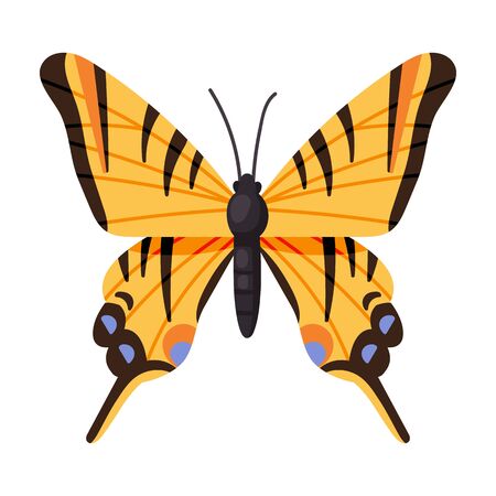 Butterfly vector icon.Cartoon vector icon isolated on white background butterfly .のイラスト素材