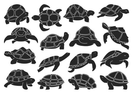 Sea turtle vector illustration on white background .Tortoise of animal vector black set icon....